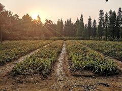 -艾溪湖湿地公园