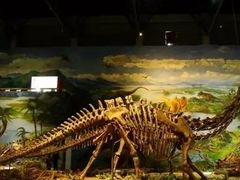 -自贡恐龙博物馆