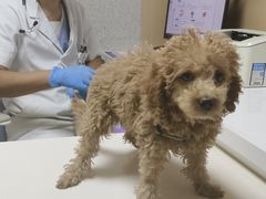 -谐和贝康宠物医院24小时·宠保定点(急重症转诊中心)