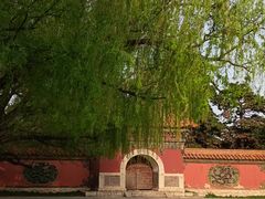 -北陵公园