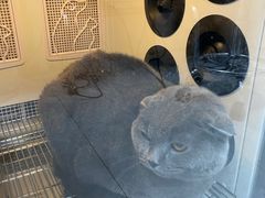 -中农国际动物医院24小时·猫科·骨科·急重症中心