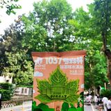华科大独家限定网红款🍁🍦