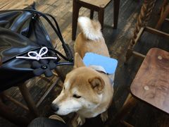 -三目仓咖啡(贤南路店)