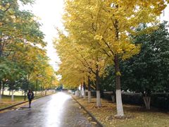 -江南大学(蠡湖校区)