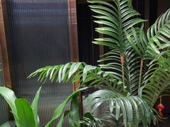 -顺德佬华侨城店·商务宴请·团建
