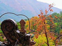 -潭柘寺景区