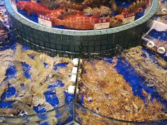 -金悦轩海鲜酒家(拱北店)
