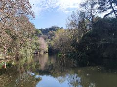 -阿哈湖国家湿地公园
