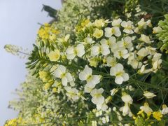 -中国天府农业博览园