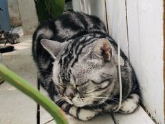 -小时光咖啡馆(北锣鼓巷店)