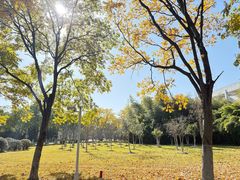 -东华大学(松江校区)