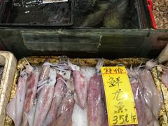 -鸿达渔港
