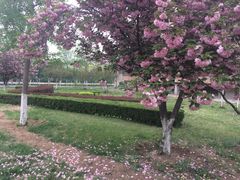 -山东理工大学