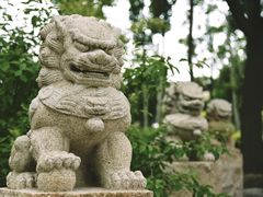-武清南湖绿博园
