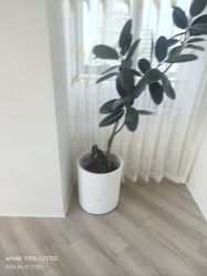 -HEYAN荷妍专业脱毛连锁机构