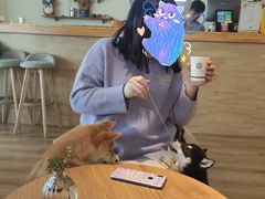 -柴犬小屋·柴餐厅·狗咖食堂(金鼎广场店)