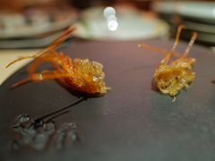 -橼舍鮨青木