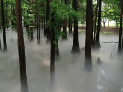 -东湖落雁景区