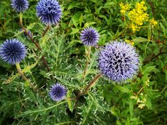 -白草畔自然风景区