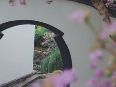 -上海醉白池公园
