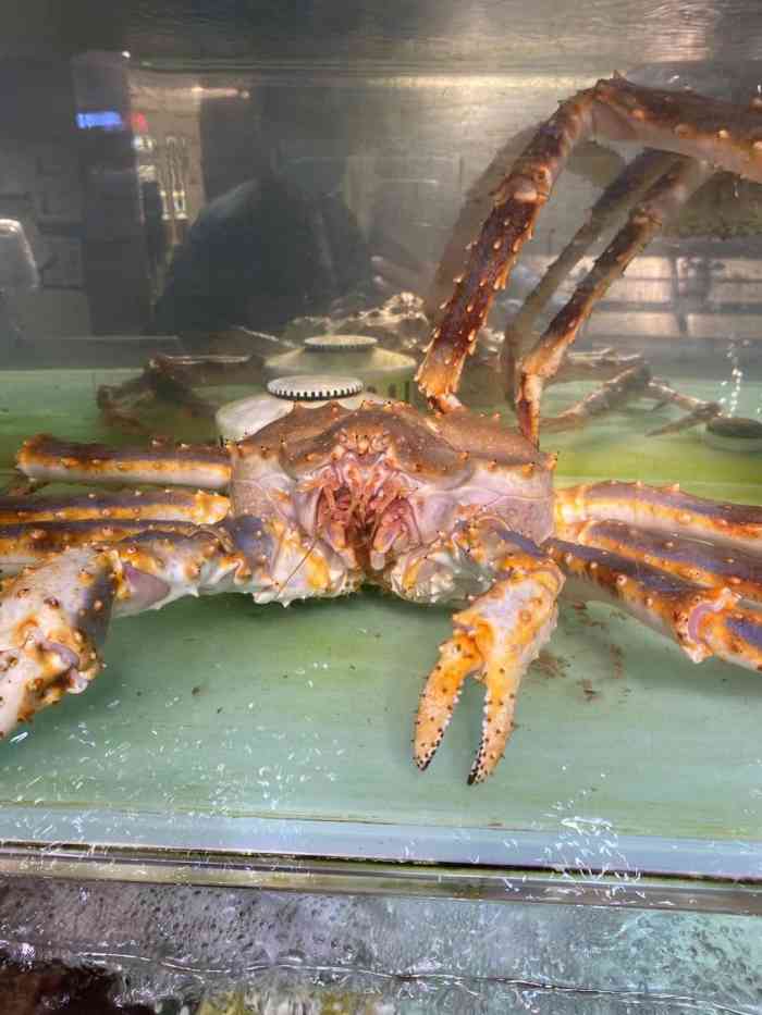 超级物种(长楹天街店)-"团购的双人套餐,其中的小波士顿龙虾蒜蓉清.