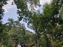 -小淮娘鸭血粉丝&锅贴(天平山景区店)