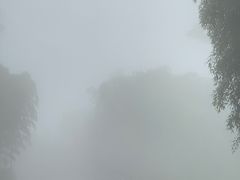 -江南天池