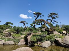 -罗红摄影艺术馆