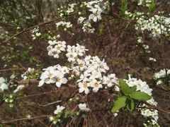 -长春公园(普阳街道)