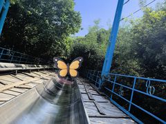 -富斯特索道