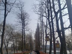-洋湖国家湿地公园