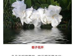 -广州老年大学
