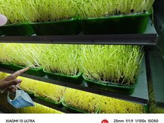 -番食园鲜食火锅(高新店)