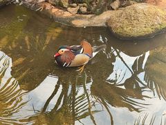 -海南热带野生动植物园