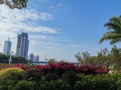 景点-白鹭洲公园