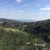 种了不少的果树有火龙果还有柑橘橙子