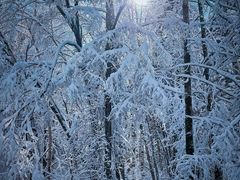 -长白山红松王滑雪场