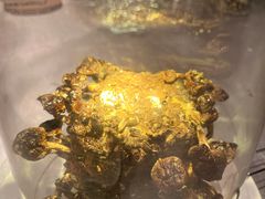 香烤蘑菇-福楼法餐厅FLO