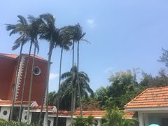 -鼓浪屿钢琴博物馆