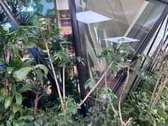 -墩儿大碗宽面(来福士店)