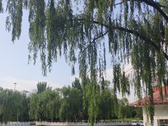 -丰台花园