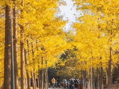 -大蜀山国家森林公园