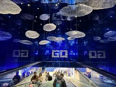 -盒马X会员店(上海森兰商都店)