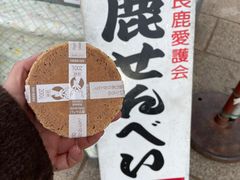 -奈良公园