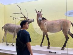 -国家自然博物馆