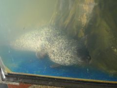 -上海大自然野生昆虫馆