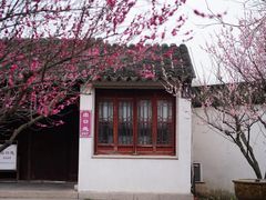 -苏州上方山国家森林公园
