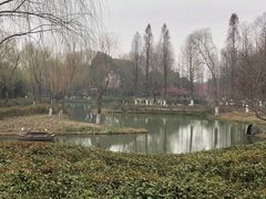 -青枫公园