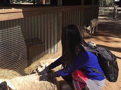 -费瑟代尔野生动物园