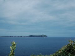 -涉地可支